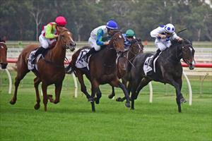 Waikato filly shows resolve to tough out maiden win